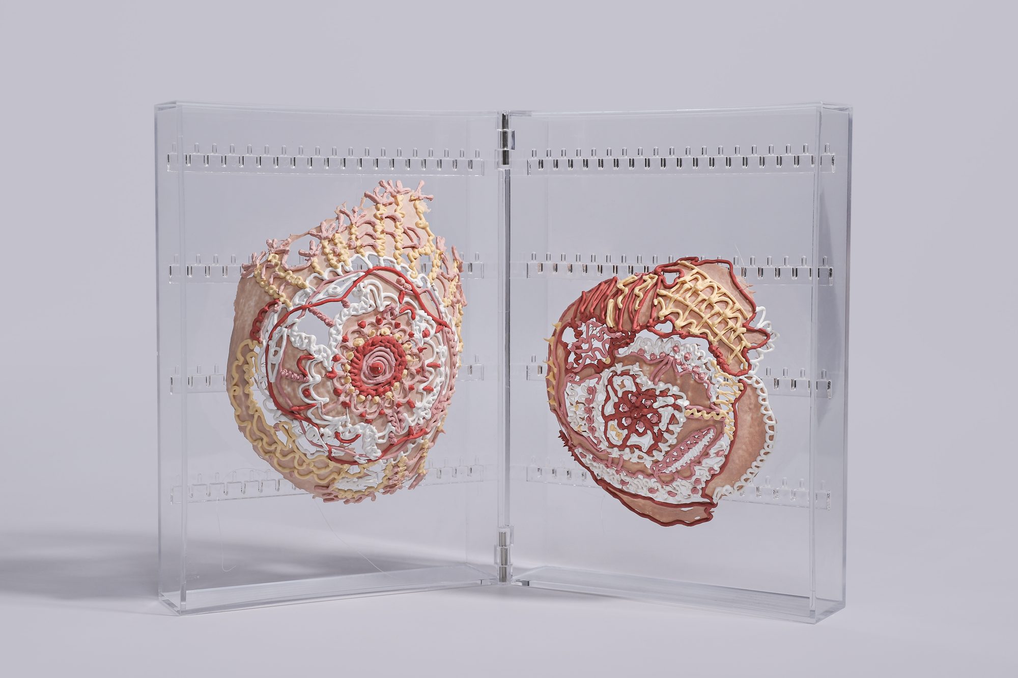 The Second Skin, 2024 (image 3 of 4)