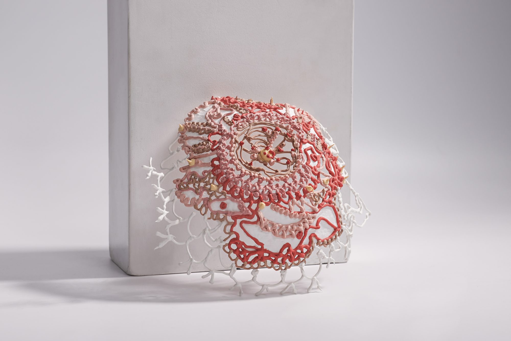 The Second Skin, 2024 (image 4 of 4)